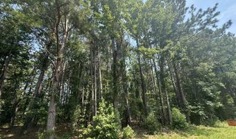 Ridge Road lot 1-E, Appling, GA 30802