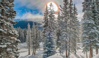 229 Lee Ln, Breckenridge, CO 80424