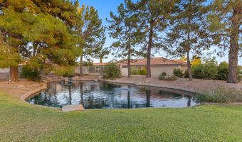 1517 S ASH Dr, Chandler, AZ 85286