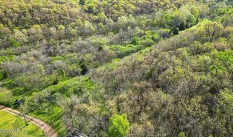 Tbd Stogdon Hollow, Anderson, MO 64831