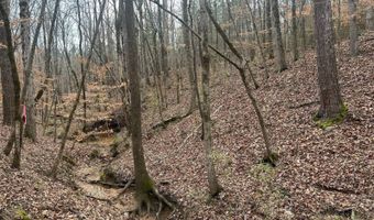 County Road 29, Alberta, AL 36720