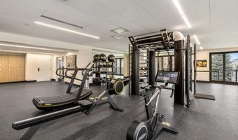 255 Chapel Pl 311, Avon, CO 81620