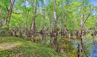 7095 Parkers Ferry Rd, Adams Run, SC 29426