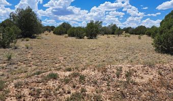 20614014 E W Isabella Ln, Ash Fork, AZ 86320