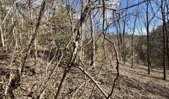 1135 Ned Clark Rd, Bean Station, TN 37708