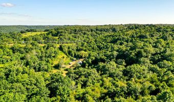 21814 State Hwy 248, Aurora, MO 65605