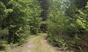 452 Tram Rd, Cades, SC 29518