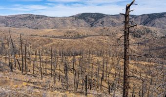 3600 Moondance Way, Bellvue, CO 80512