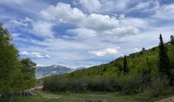 777 RICHARDSON CREEK Rd, Afton, WY 83110