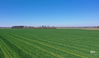 Lot 15 Davis Pond Road, Atmore, AL 36502