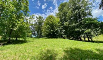 48 Sweet Fern Pkwy 59, Asheville, NC 28804
