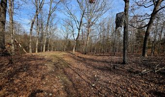 Rr 1 Box 6548, Ava, MO 65608