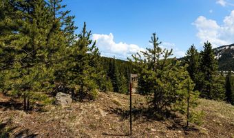 Washakie Road, Big Sky, MT 59716