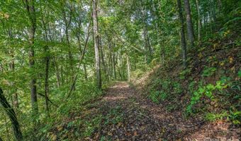 10 Beaverbrook Ct, Asheville, NC 28804