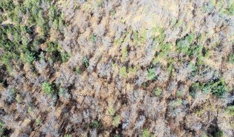 10 Acres County Road C, Arkdale, WI 54613