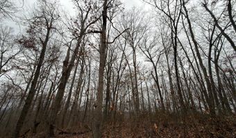 TBD1 E Willow Rd, Bloomfield, IN 47424