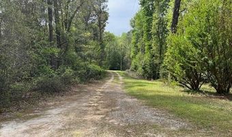 408 Guy Sanderson Rd, Albertson, NC 28508