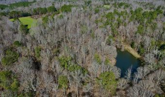 3229 County Road 78, Autaugaville, AL 36003