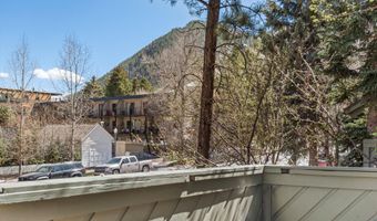 125 E Hyman Ave 1A, Aspen, CO 81611