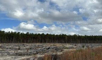 Ahoskie Cofield Road, Ahoskie, NC 27910