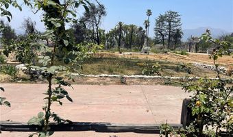 3065 Fair Oaks Ave, Altadena, CA 91001