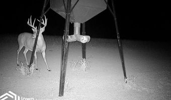 560 Th Ave, Albia, IA 52531