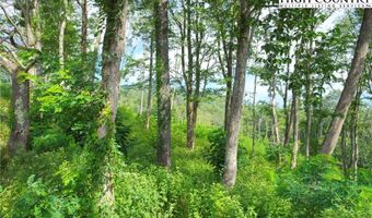 Tbd Banner Glade Trail, Banner Elk, NC 28604