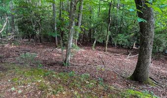 724 Streamside Dr, Arden, NC 28704