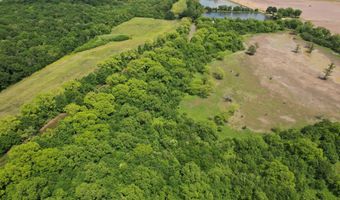 Jenkins Road, Alligator, MS 38720