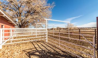 918 ROAD 4990, Bloomfield, NM 87413