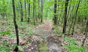 4205 Stoney Creek Rd, Afton, MI 49705