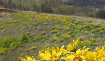 Tbd Gold Creek Way, Belfry, MT 59008