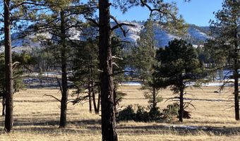 1 A FOREST ROAD 26, Alpine, AZ 85920