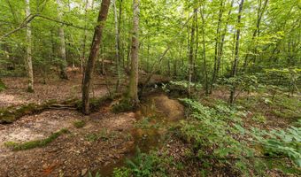 0 Brooksie Thompson Rd, Bath Springs, TN 38311