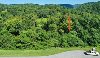 Bayside Blvd lot # 67, Bean Station, TN 37708