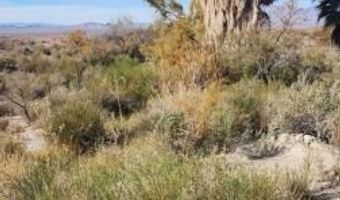 4855 Gold Butte Rd, Bunkerville, NV 89007