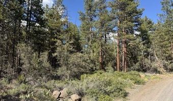 Thunder Bear Road, Bonanza, OR 97623