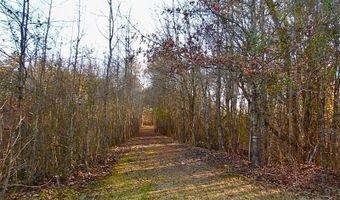 587 Piedmont, Barnesville, GA 30204