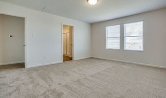 305 Briar Cv, Anna, TX 75409