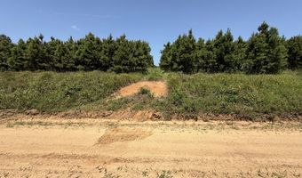 0001 E 1960 Rd, Antlers, OK 74523