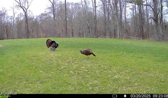 2233 Holloman Rd, Bentonia, MS 39040