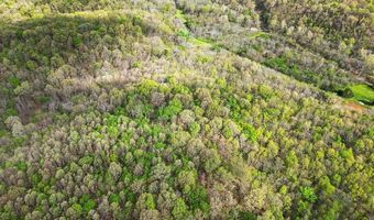 TBD Stogdon Hollow RD, Anderson, MO 64831