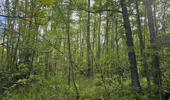 Parcel 3 Hwy 87, Backus, MN 56435