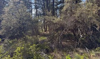 Thunderbear Road 46, Bonanza, OR 97623