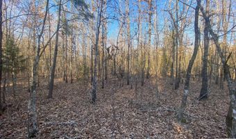 TBD CR 4507, De Kalb, TX 75559