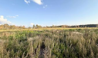 25 Acres Alabama Highway 68, Albertville, AL 35951
