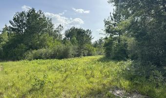 40 Ac +/- Old River Rd, Baker, FL 32531