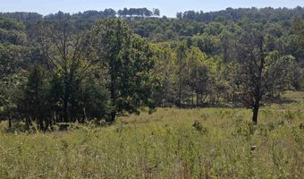 3013-3015 Possum Trot Rd, Ash Flat, AR 72513