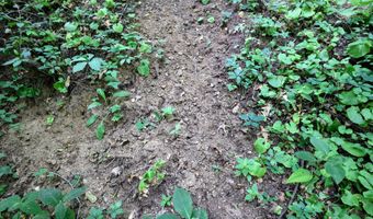 25270 B Dr S, Albion, MI 49224