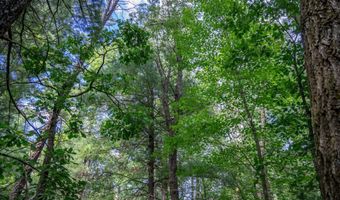 1662 20th Ave, Arkdale, WI 54613